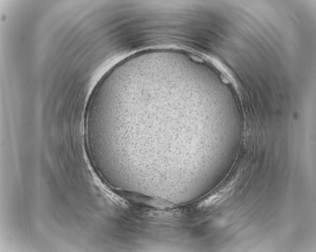 X0000087360951200705111641