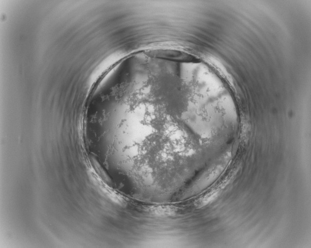 X0000087360952200705111641