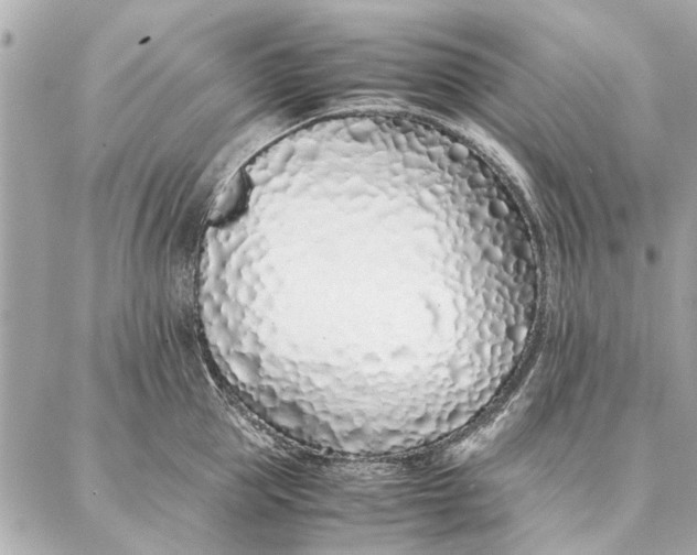 X0000087360953200705111641