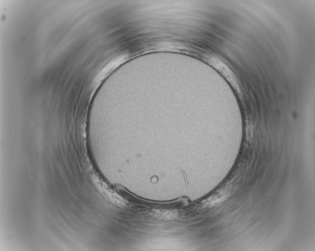 X0000087360954200705111641