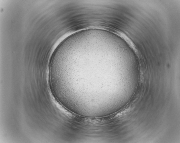 X0000087360955200705111641