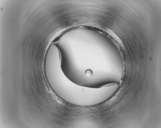 X0000087360956200705111642