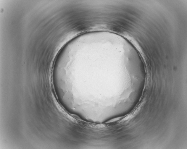 X0000087360957200705111642