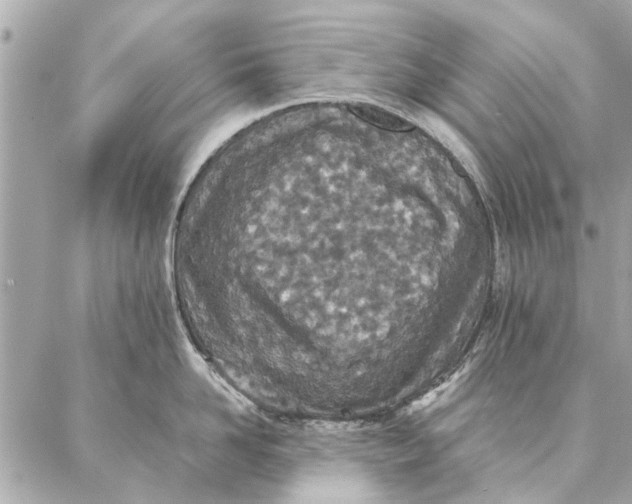 X0000087360958200705111642