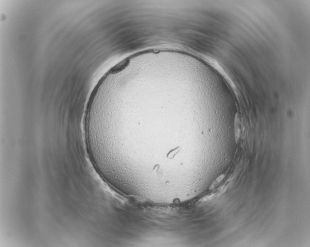 X0000087360959200705111642