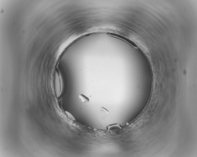 X0000087360960200705111642