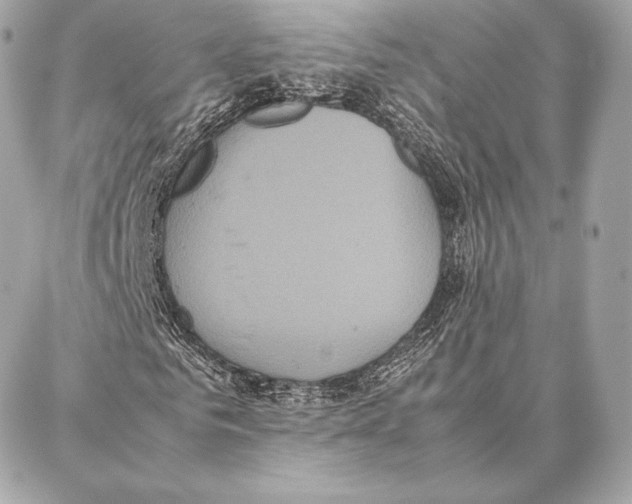 X0000087360961200705111641