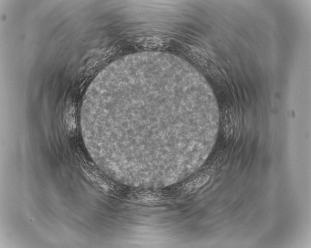 X0000087360962200705111641