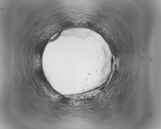 X0000087360963200705111641