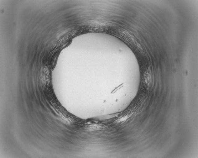 X0000087360964200705111641