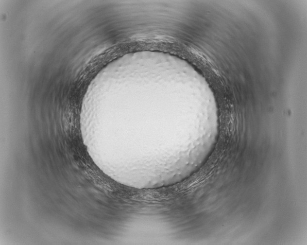 X0000087360966200705111641