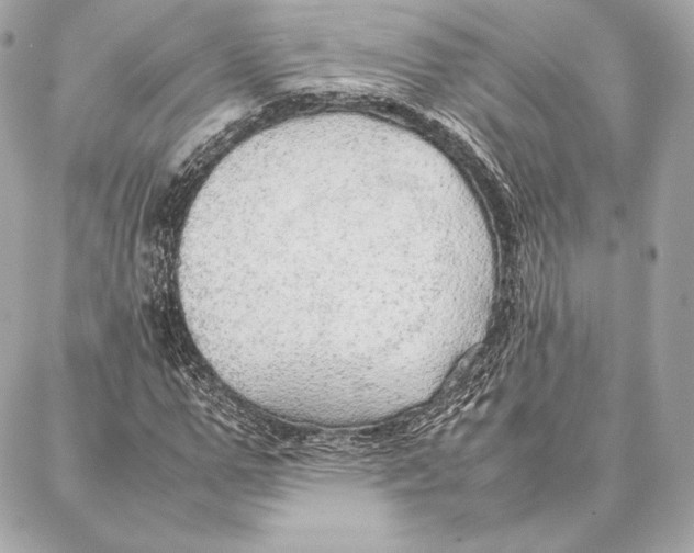 X0000087360967200705111641