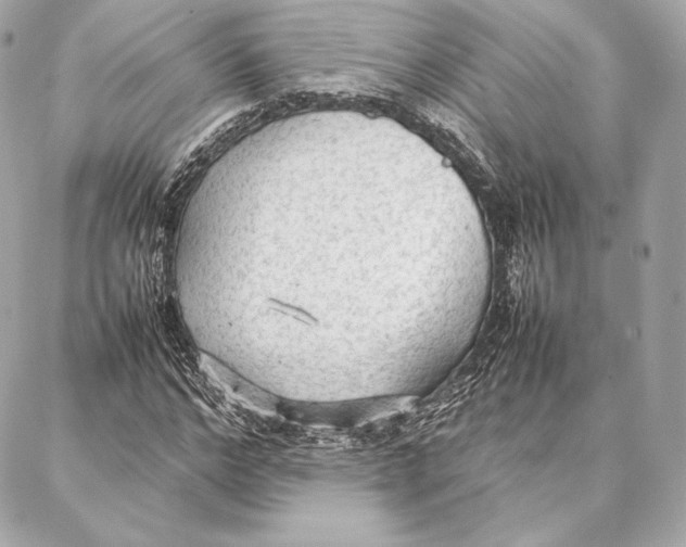 X0000087360968200705111641