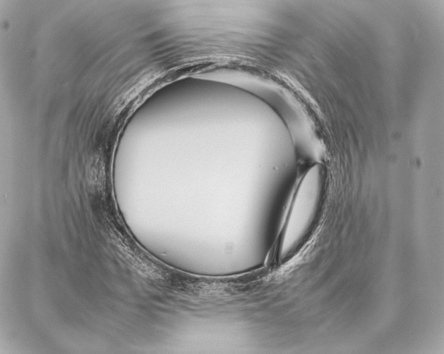 X0000087360969200705111641