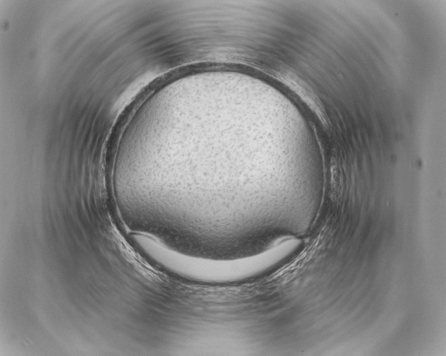 X0000087360972200705111641