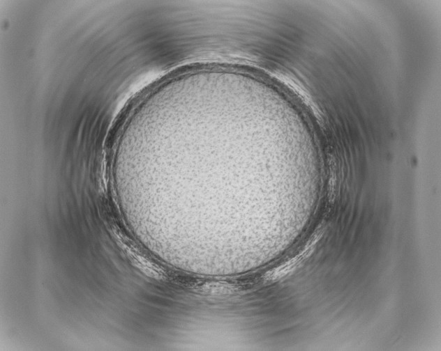 X0000087360974200705111641