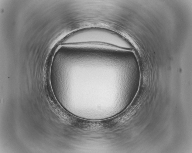 X0000087360975200705111641