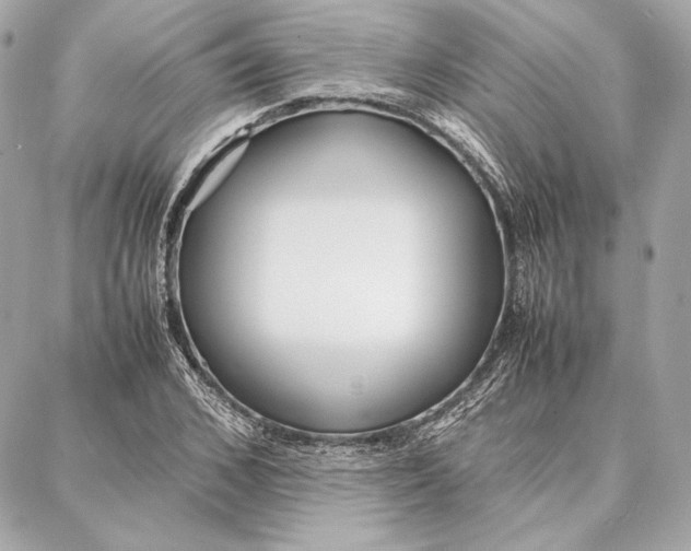 X0000087360976200705111641