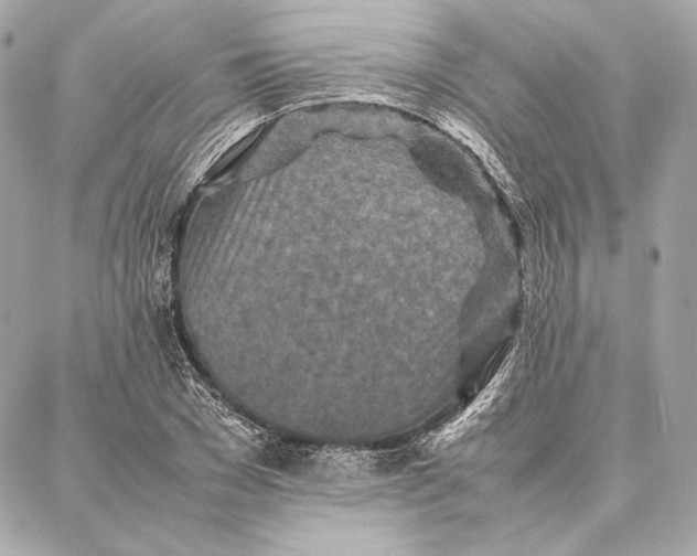 X0000087360977200705111641