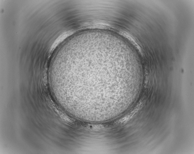 X0000087360978200705111641