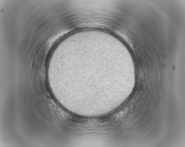 X0000087360979200705111641