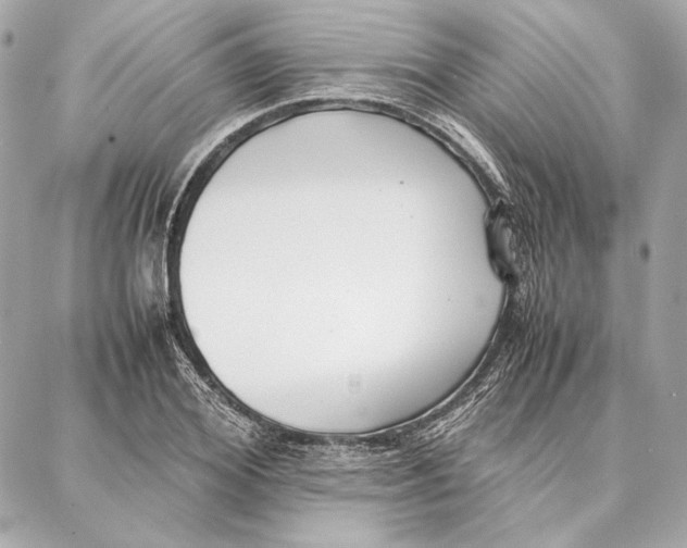 X0000087360980200705111640