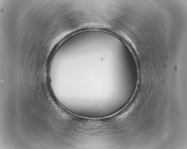 X0000087360981200705111640