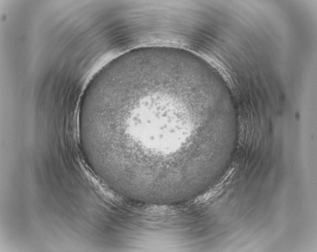 X0000087360982200705111640