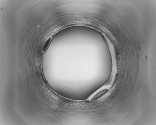 X0000087360985200705111640