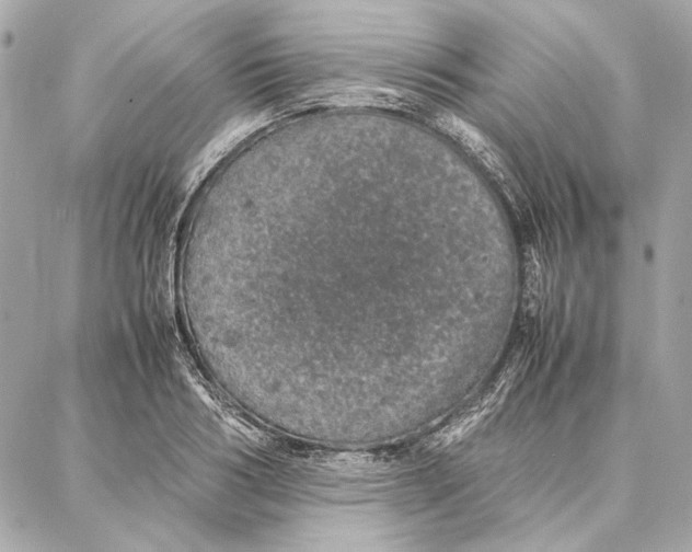 X0000087360986200705111640