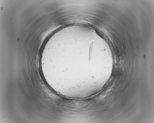 X0000087360987200705111640