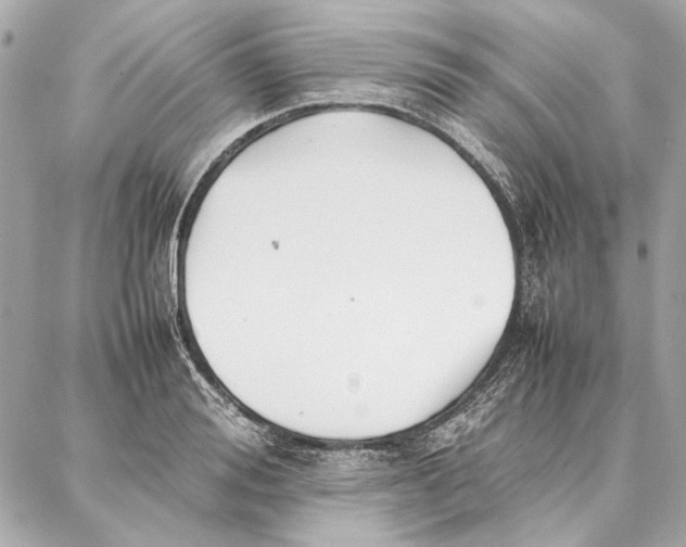 X0000087360988200705111640