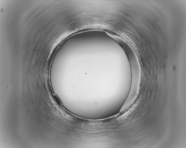 X0000087360989200705111640