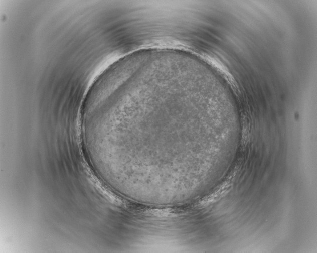 X0000087360990200705111640