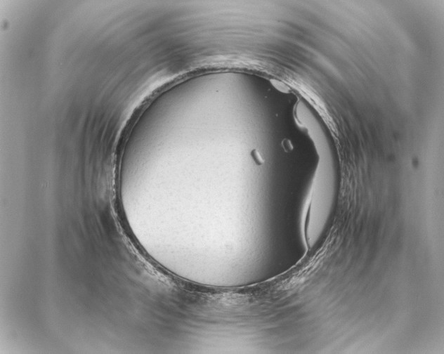 X0000087360992200705111640