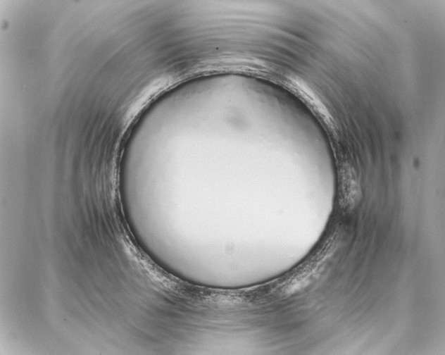 X0000087360994200705111640