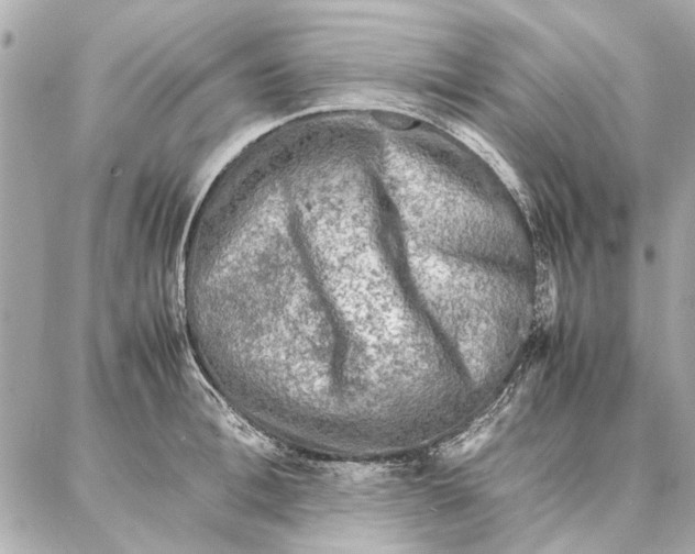 X0000087360996200705111640