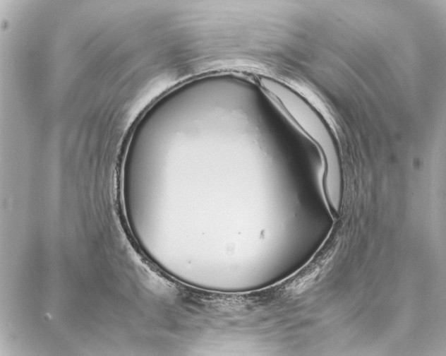 X0000087360999200705111640