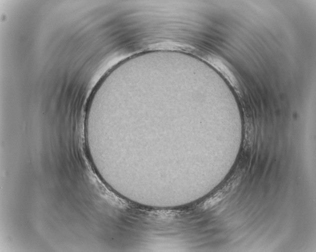 X0000087361000200705111640