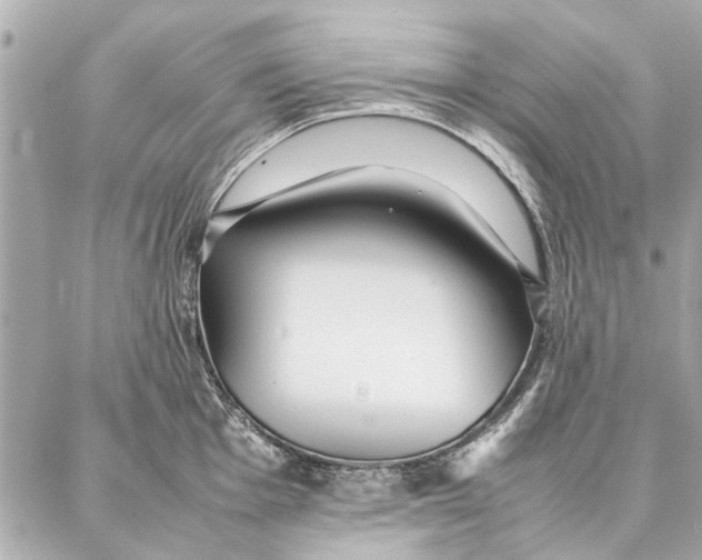 X0000087361001200705111640