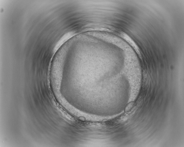 X0000087361002200705111640