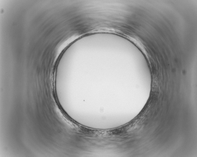 X0000087361003200705111640