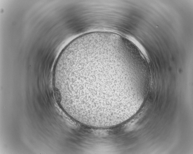 X0000087361004200705111640