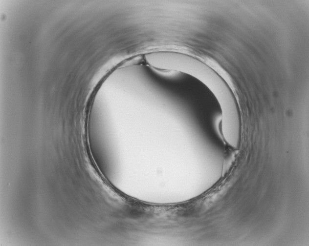 X0000087361005200705111640