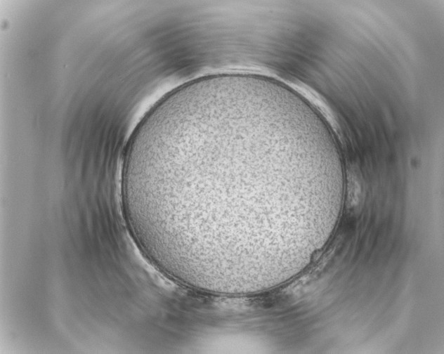 X0000087361006200705111640