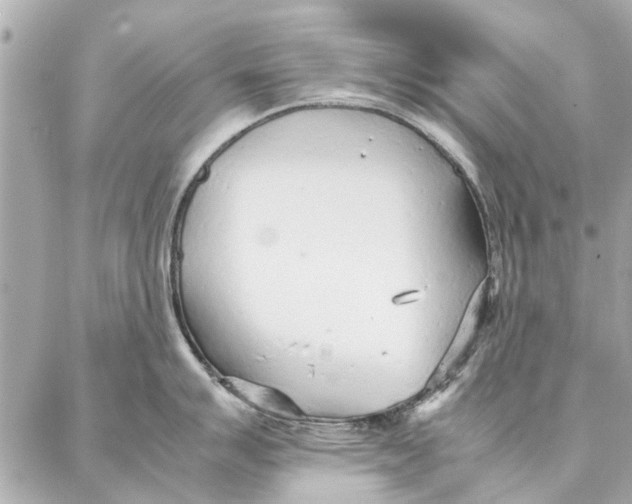 X0000087361007200705111640