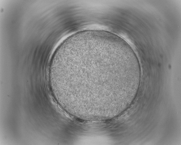 X0000087361008200705111640