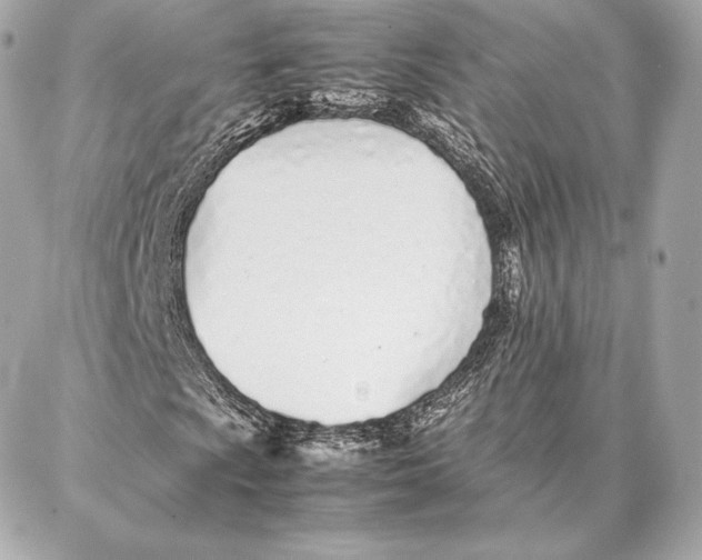 X0000087361009200705111639