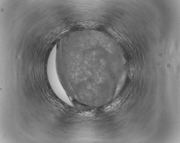 X0000087361010200705111639