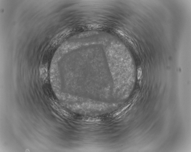 X0000087361011200705111639